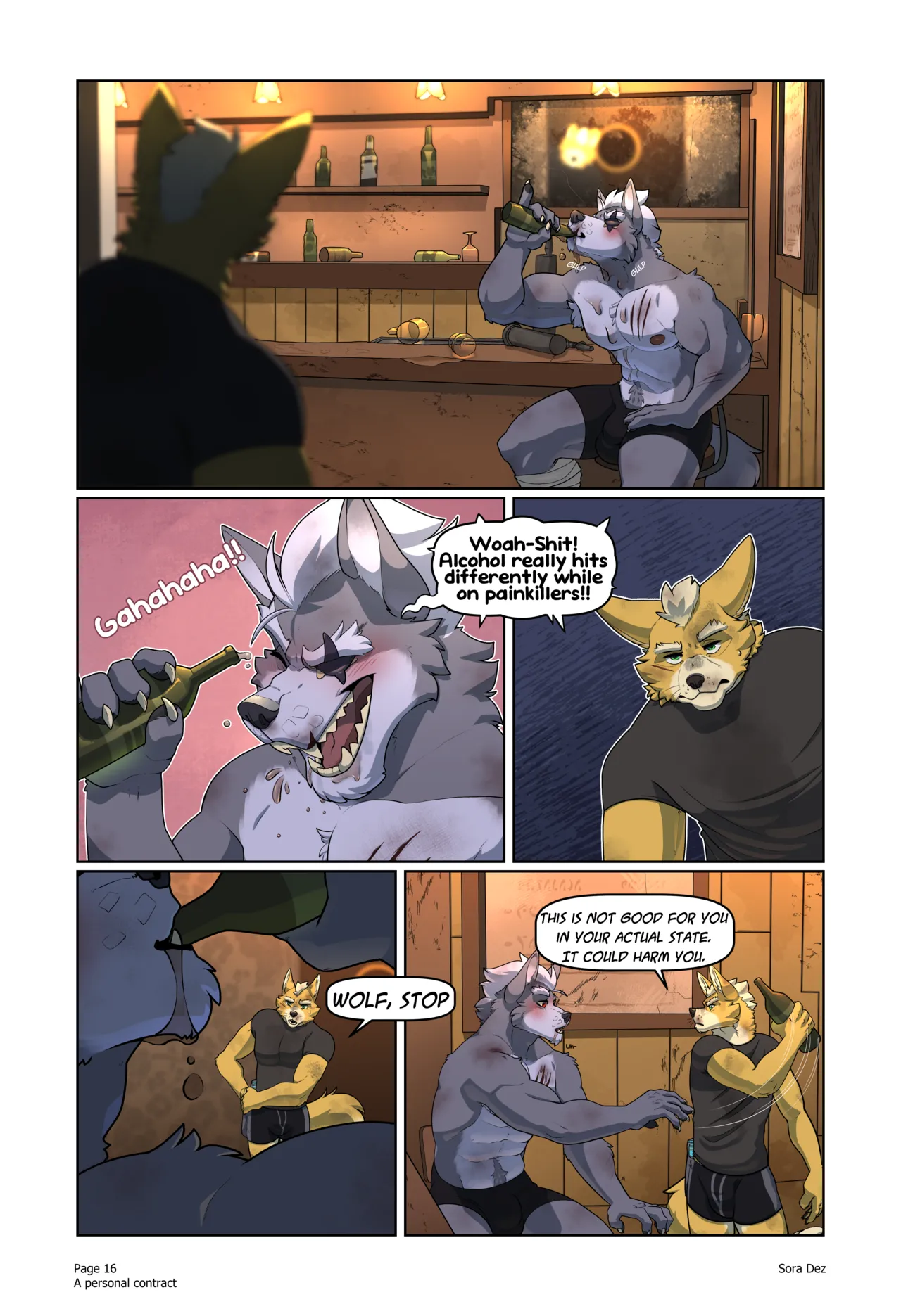 Sora Dez WolFox A Personal Contract Ongoing - Image 19