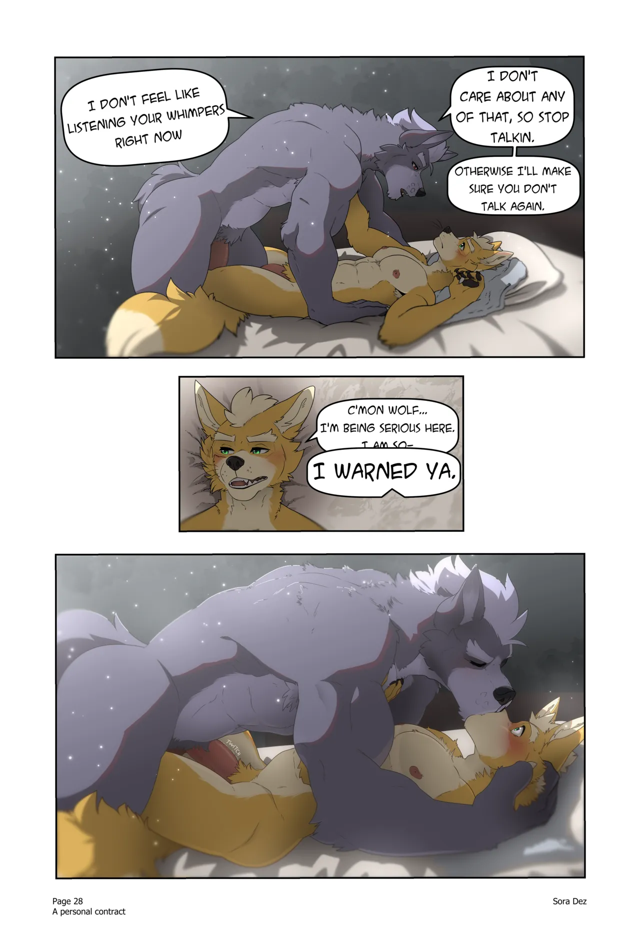 Sora Dez WolFox A Personal Contract Ongoing - Image 31