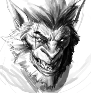 Sotchosis 2024-2025 - Page 360