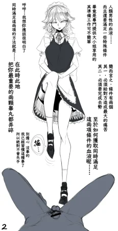 Spacezin Gyakuryona Sakuya-san no Shojijō 逆凌辱 咲夜小姐的難言之隱 Chinese 不知何人漢化 - Page 3