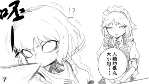 Spacezin Gyakuryona Sakuya-san no Shojijō 逆凌辱 咲夜小姐的難言之隱 Chinese 不知何人漢化 - Page 8