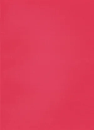 Studio Amic Studio Amicus Various TURBO SACK Vol. 3 1984 - Page 2