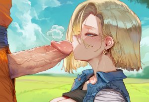 Swirlinghawk Android 18 105p - Page 16