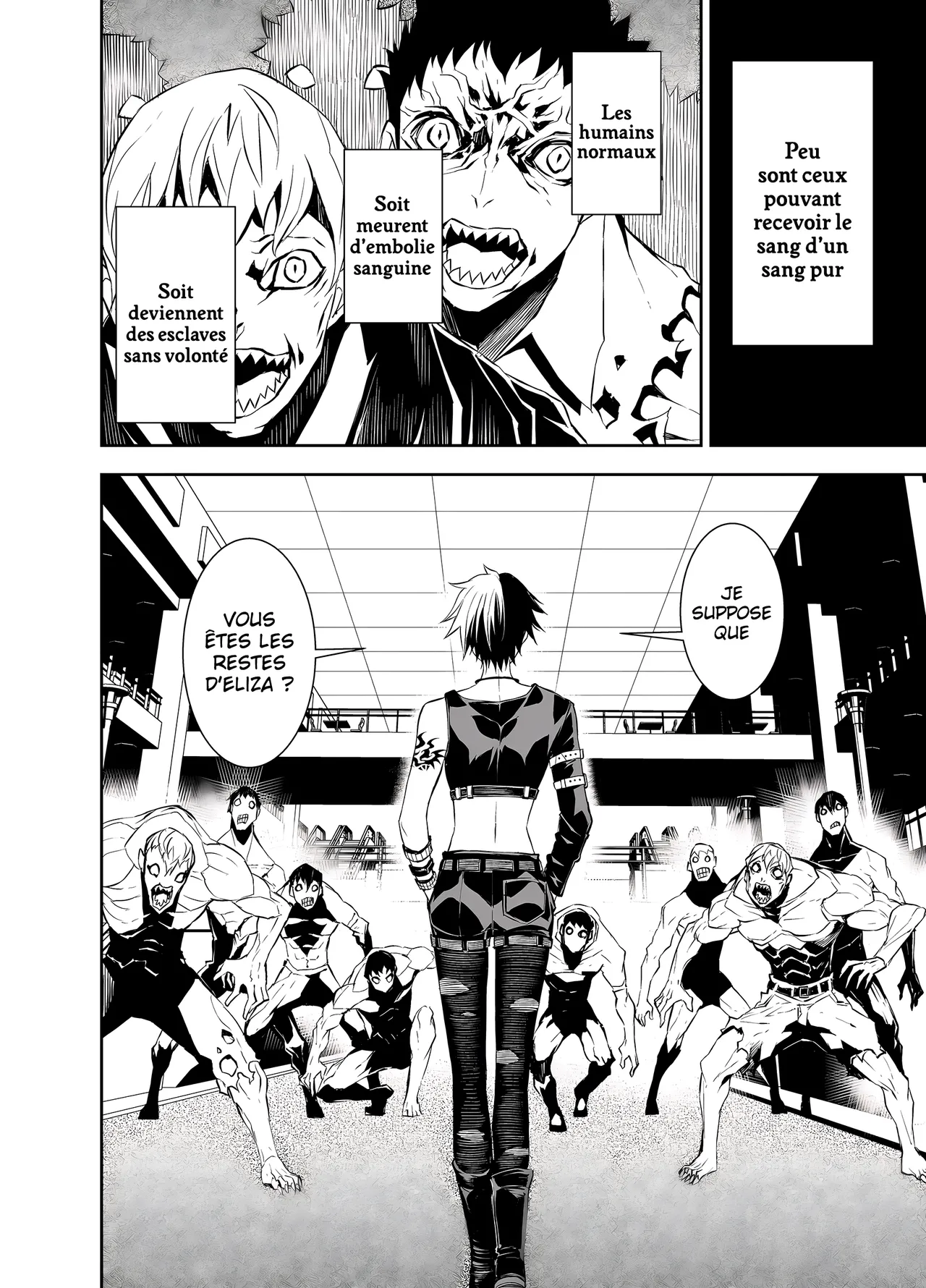 TATSUBON Liberta French Crimson Ravens Digital - Image 279