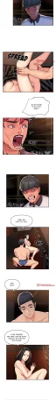 The Ladies Associate - Page 487