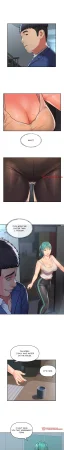 The Ladies Associate - Page 498