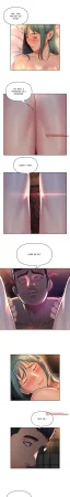 The Ladies Associate - Page 518