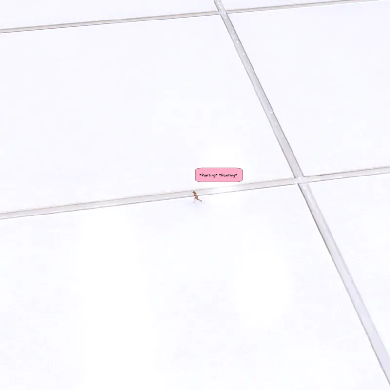 The Laser - Ayble309 - Image 338