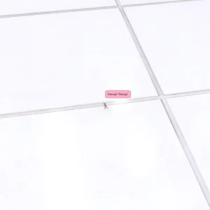 The Laser - Ayble309 - Page 338