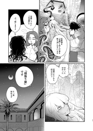 the Moon Ship青狸ペルシアンナイト - Page 28