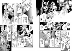 TWILIGHT OF THE MOON MYTHS JINTAIHOSHITSUKIYC PINKDELICIOUS tome 1 to 8 - Page 95