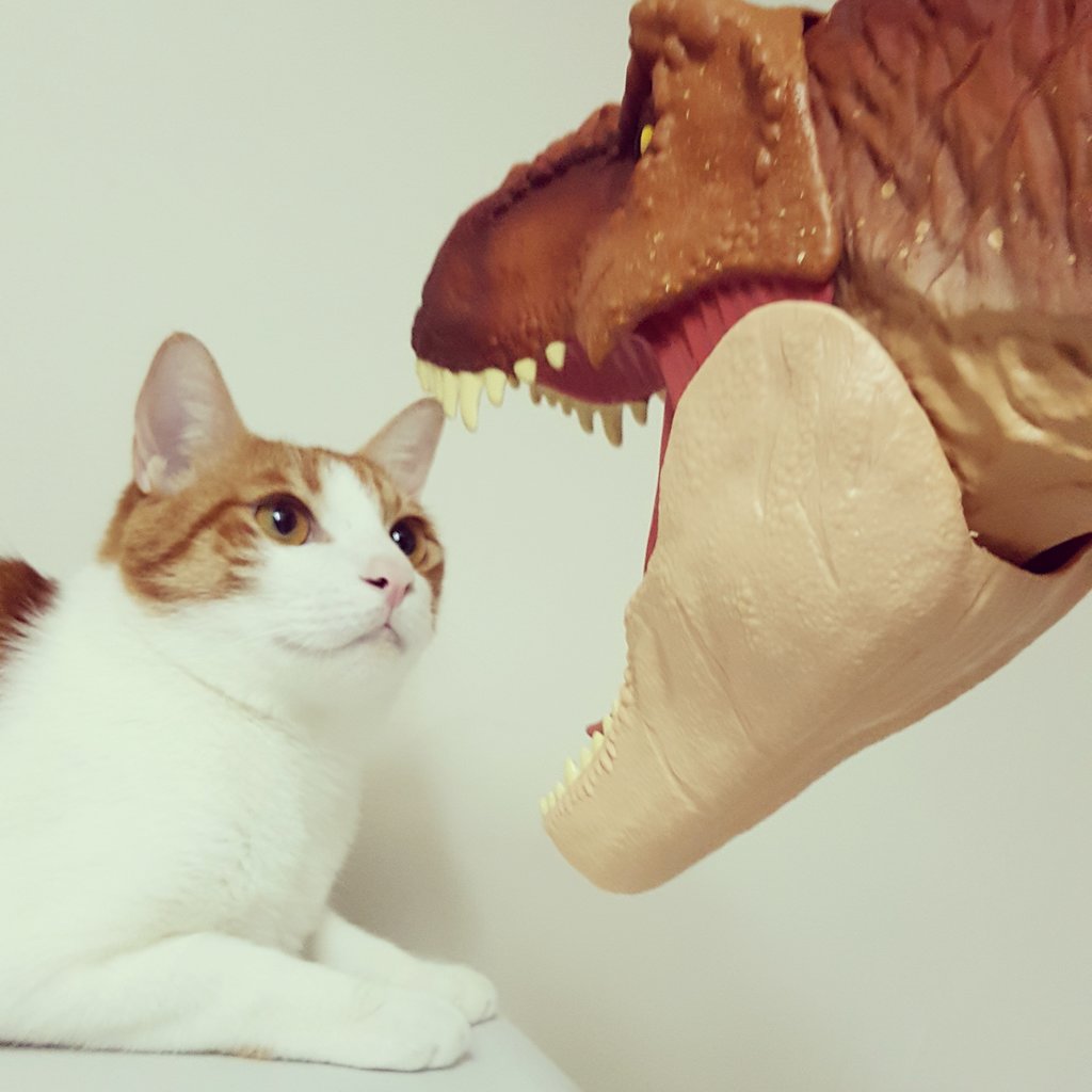 Twitter 迷子焼き maigoyaki - Image 233