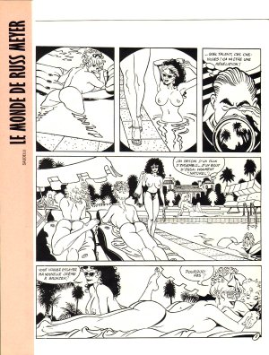 Various Circus HS 114 - Spécial Libertines French - Page 100