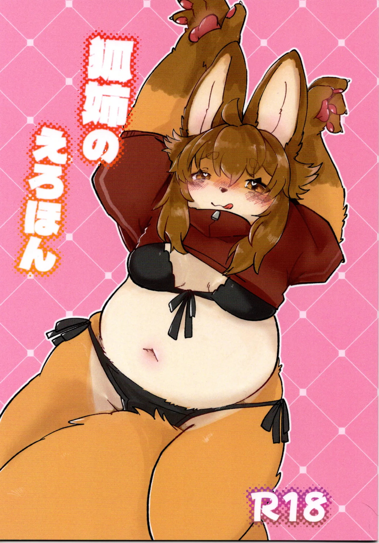 VRChat Fox Sisters Erotic Book Muchimofu-do - Image 1