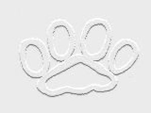 Wereworld by Rann - Page 404