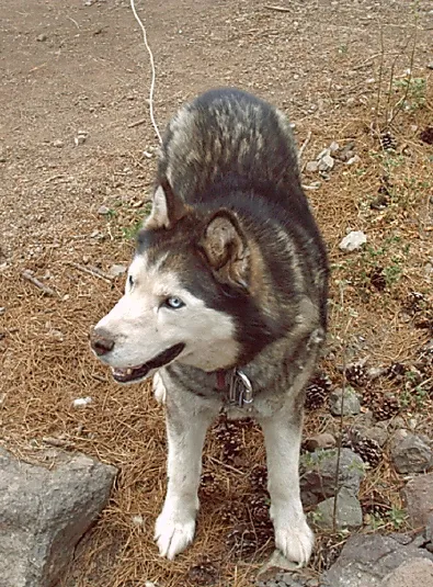 Wereworld by Rann - Image 134