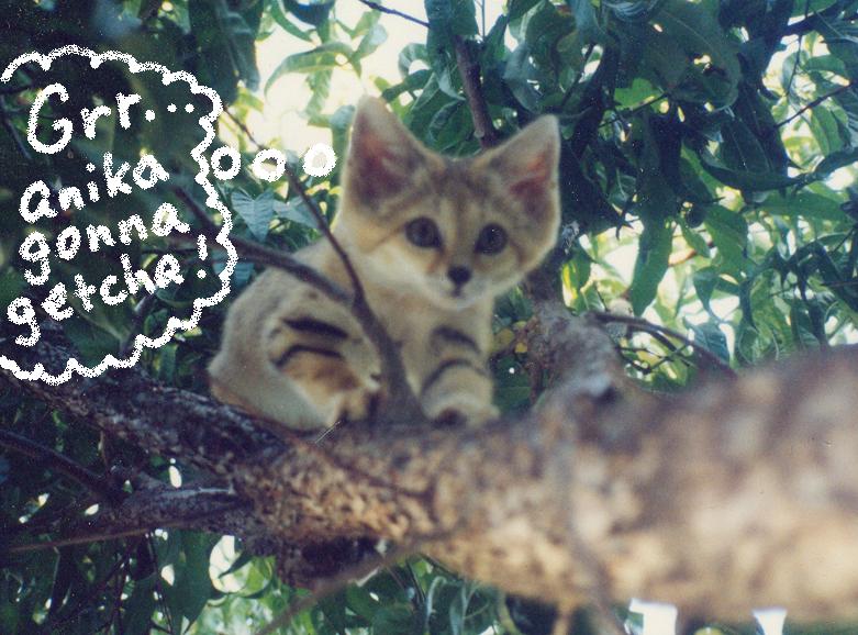 Wereworld by Rann - Image 420