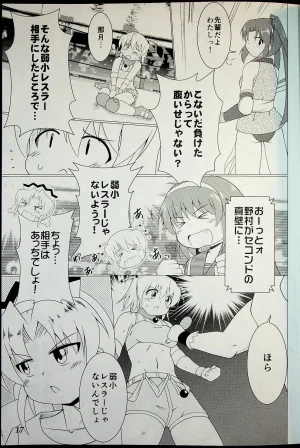 Wrestle Summit 2016 - Page 16