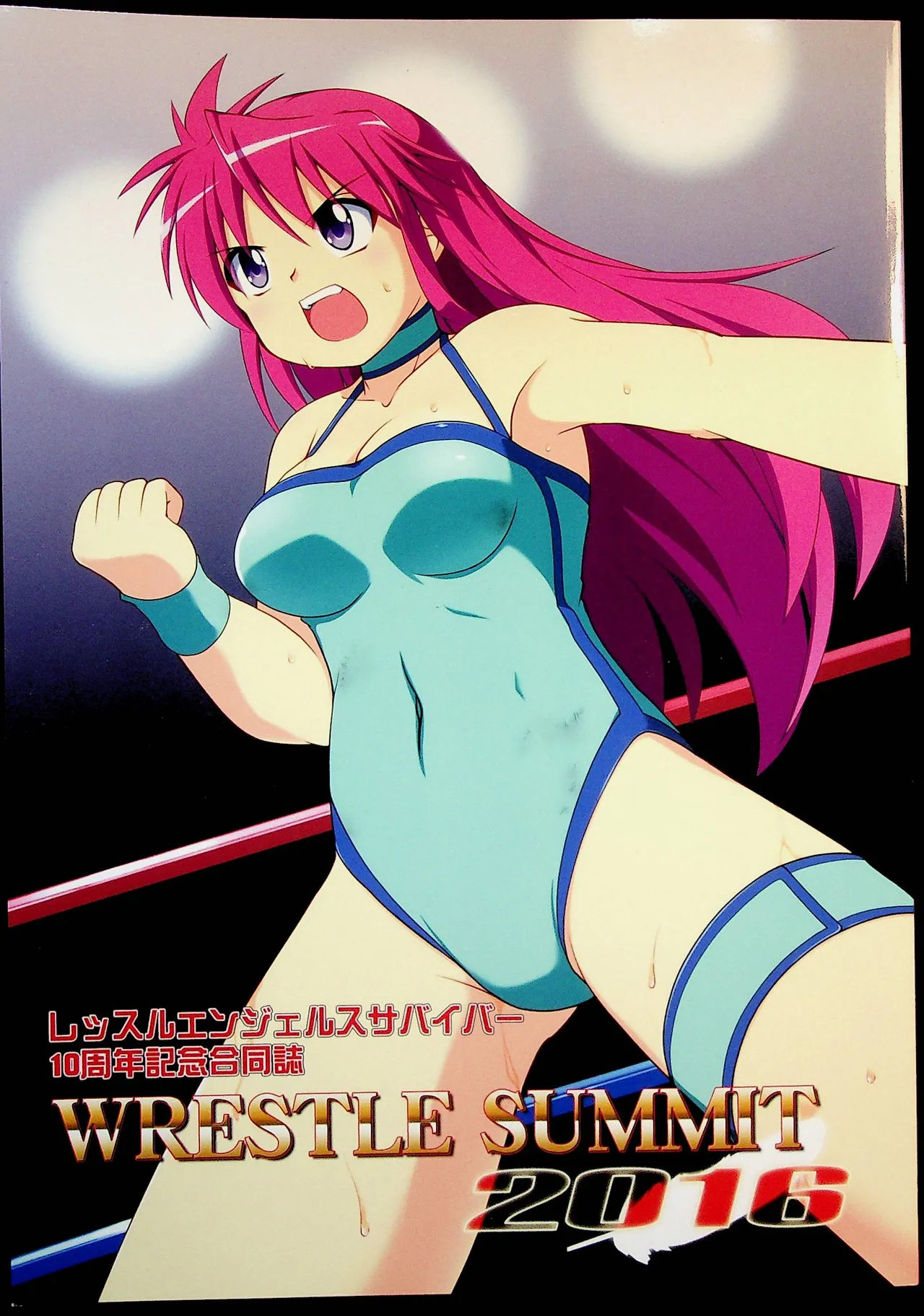 Wrestle Summit 2016 - Image 1