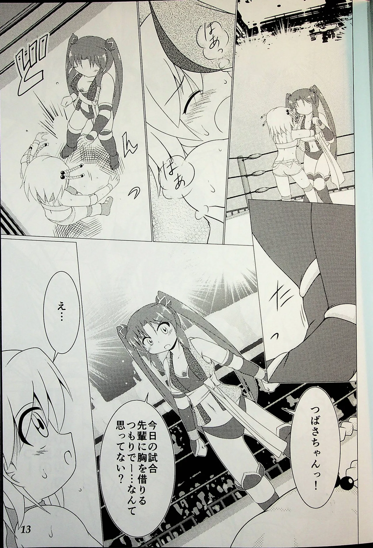 Wrestle Summit 2016 - Image 12