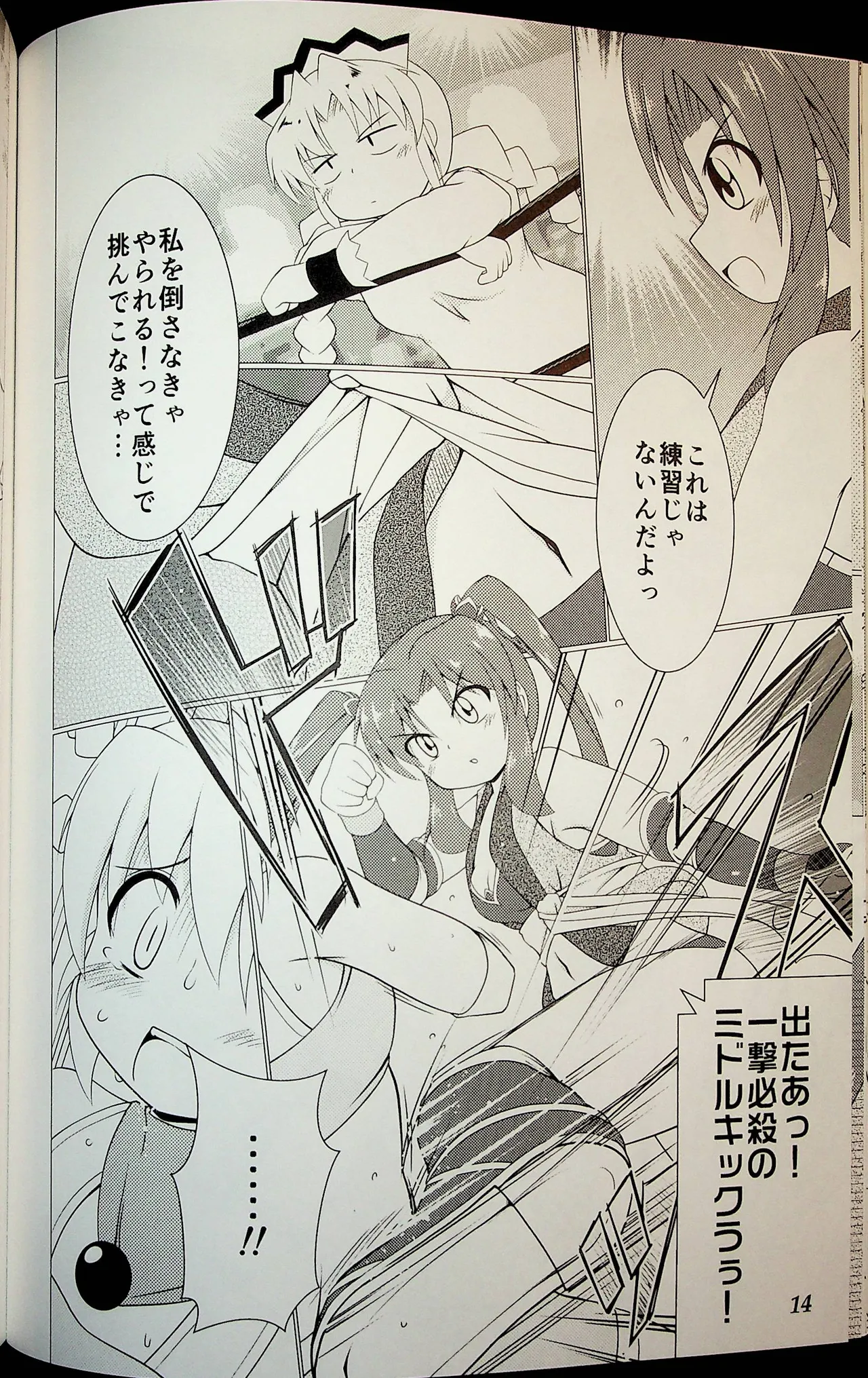 Wrestle Summit 2016 - Image 13