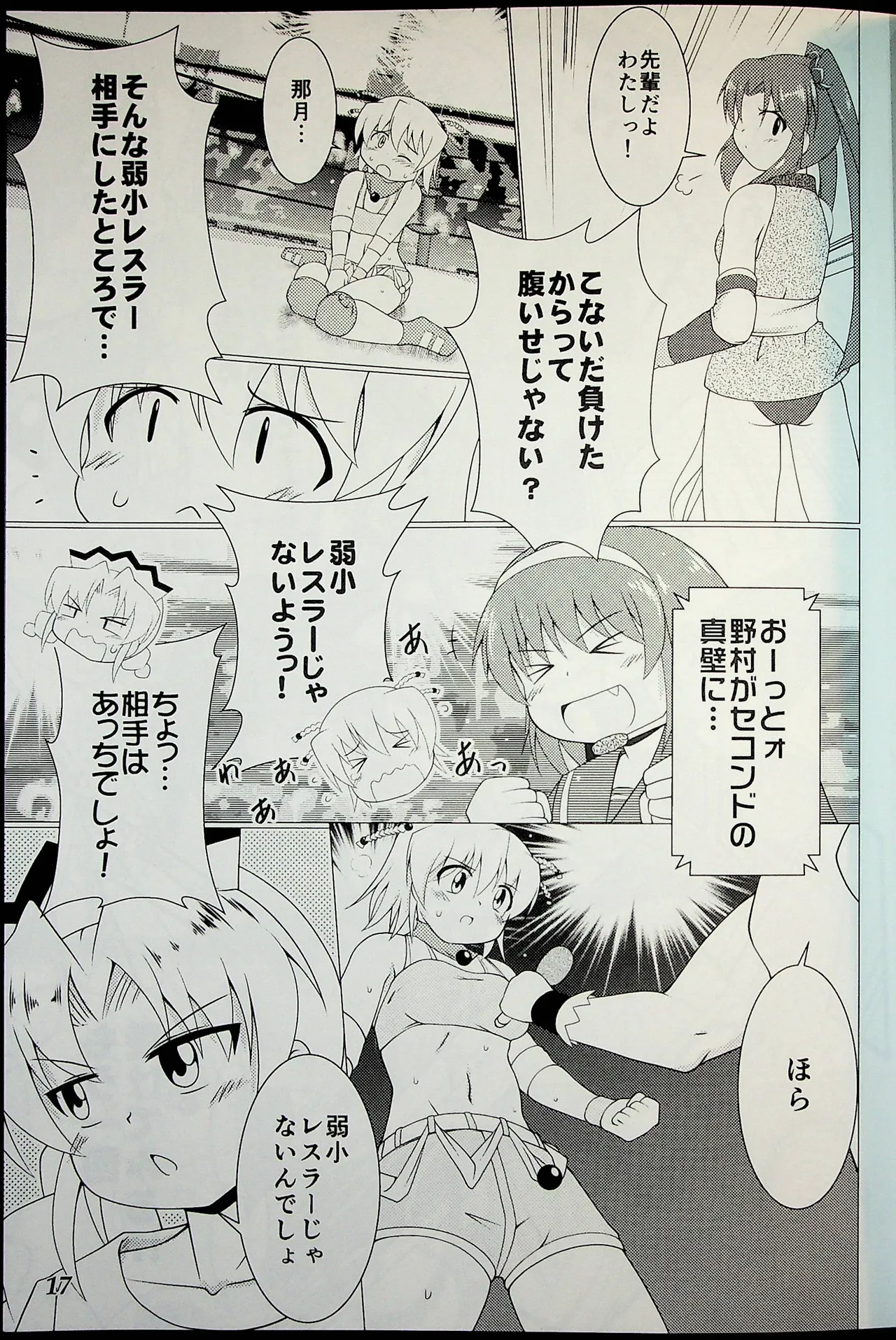 Wrestle Summit 2016 - Image 16