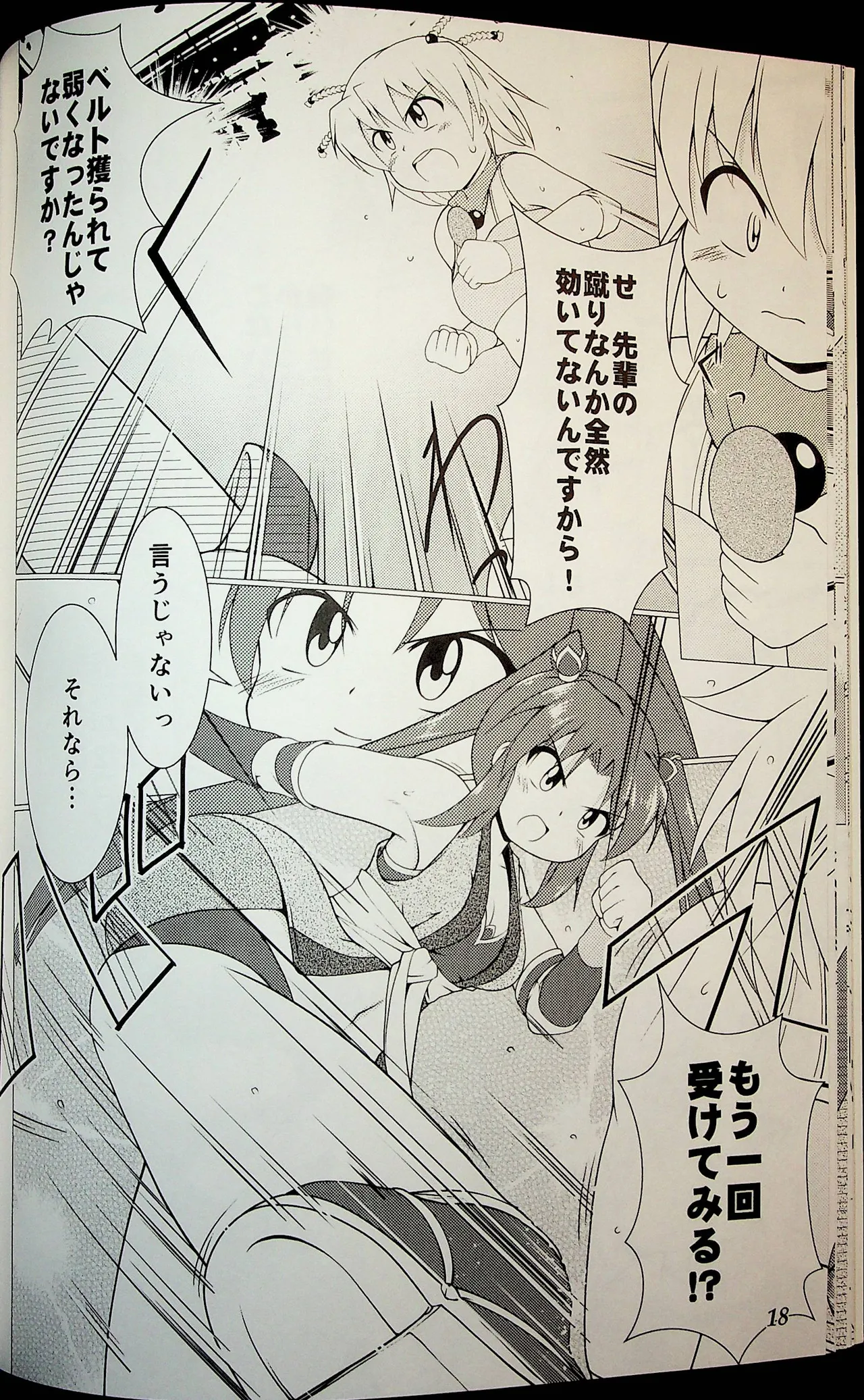 Wrestle Summit 2016 - Image 17