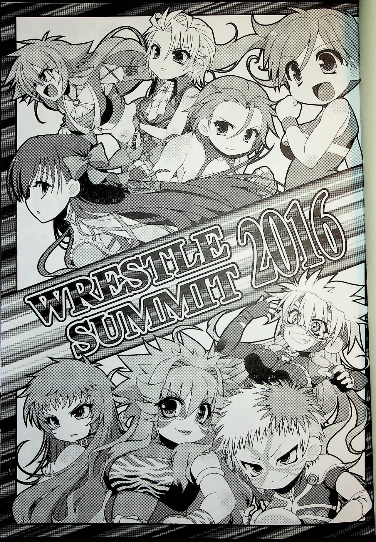 Wrestle Summit 2016 - Image 2