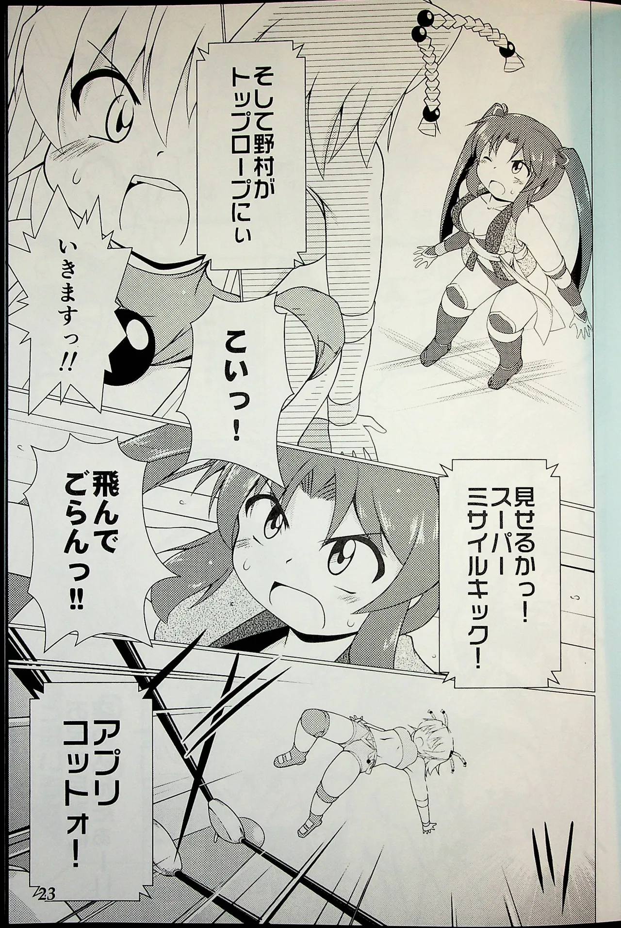 Wrestle Summit 2016 - Image 22