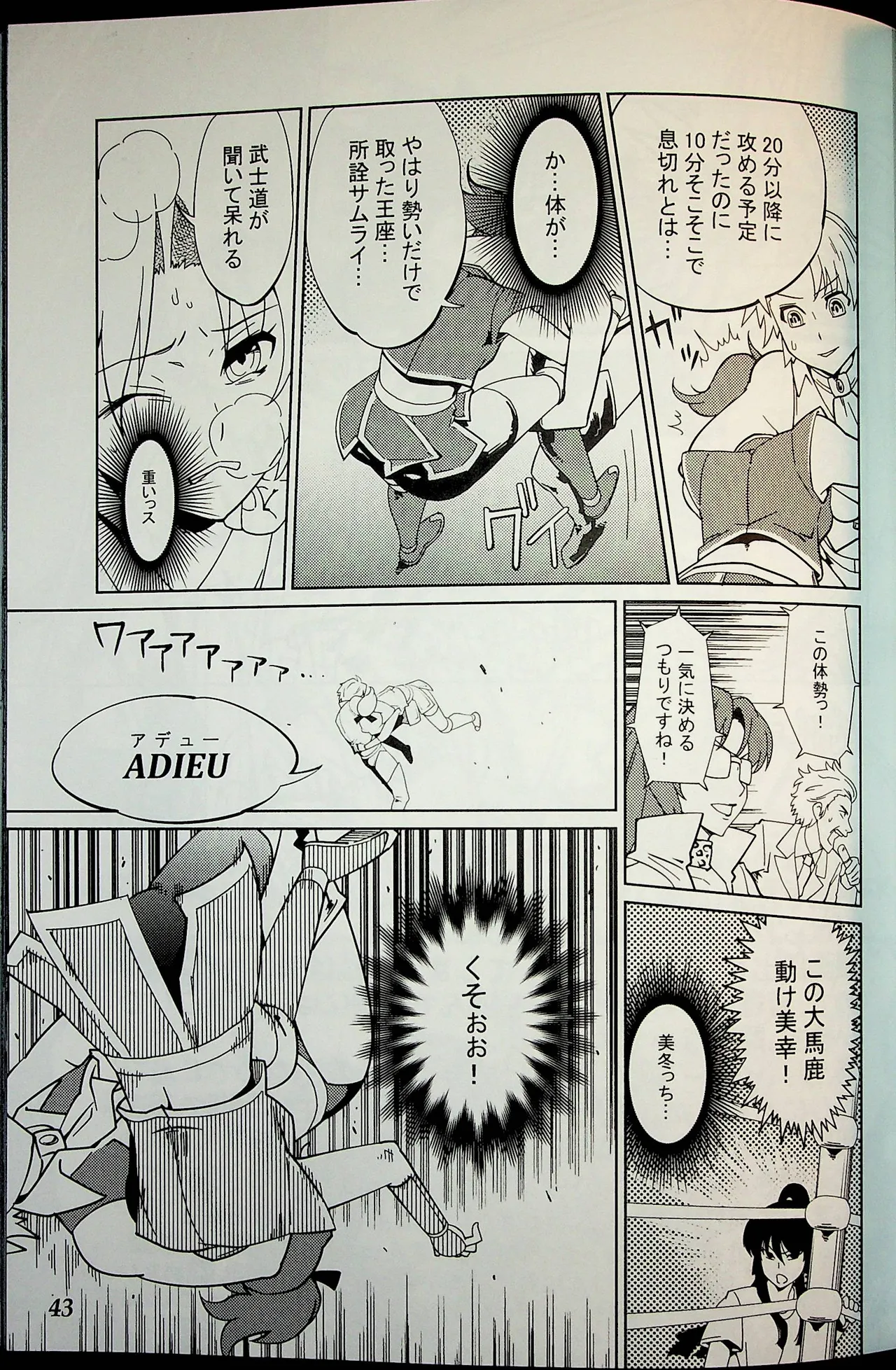 Wrestle Summit 2016 - Image 42