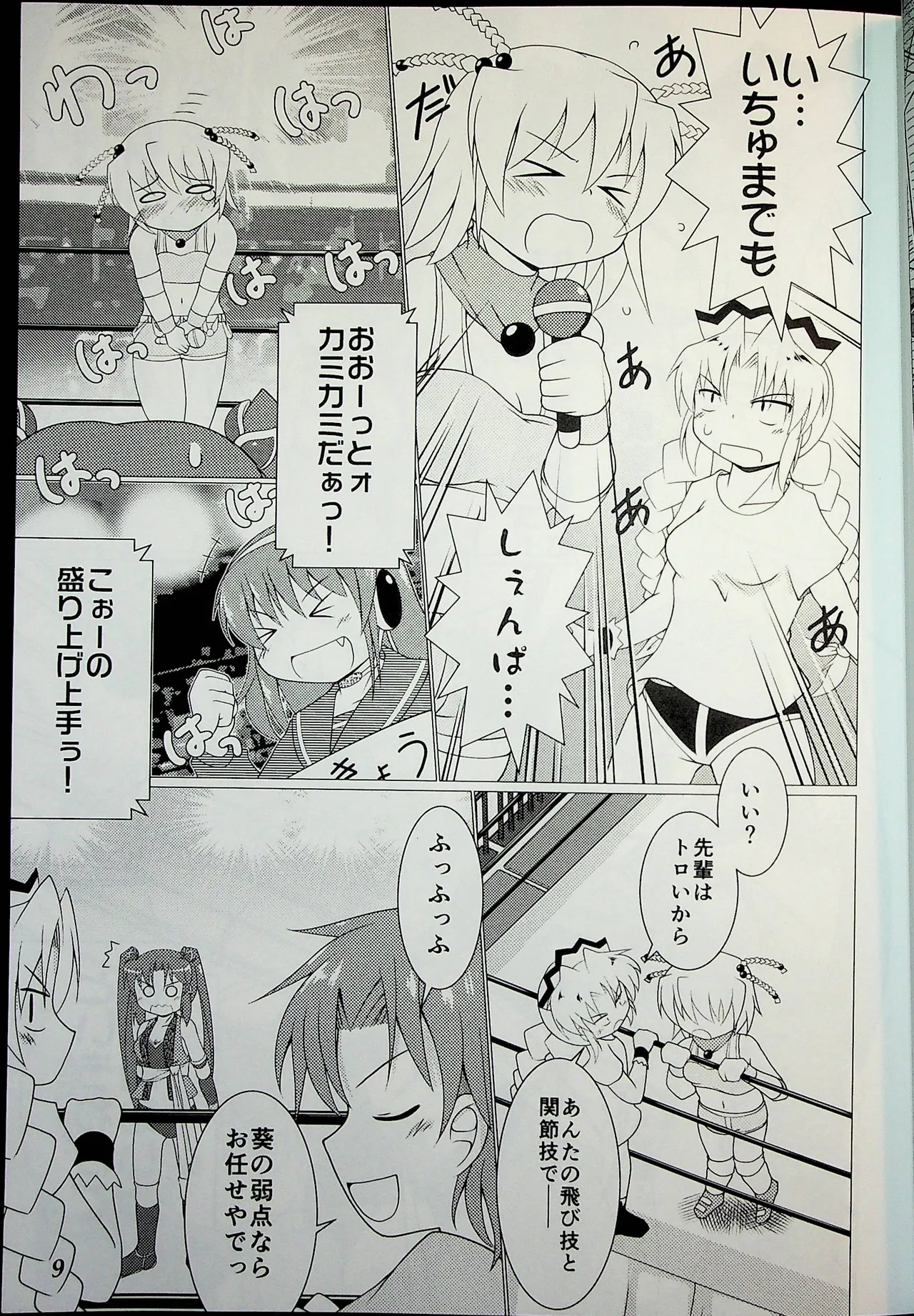 Wrestle Summit 2016 - Image 8