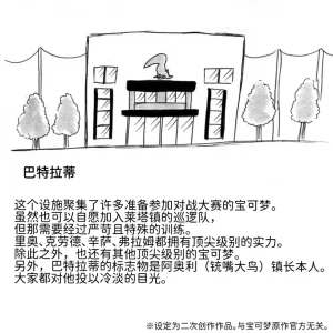 避役铠鸦① 丨作者樹守 千面避役x钢铠鸦 路的机翻汉化 Chinese Pokémon - Page 17