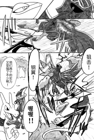 避役铠鸦① 丨作者樹守 千面避役x钢铠鸦 路的机翻汉化 Chinese Pokémon - Page 5