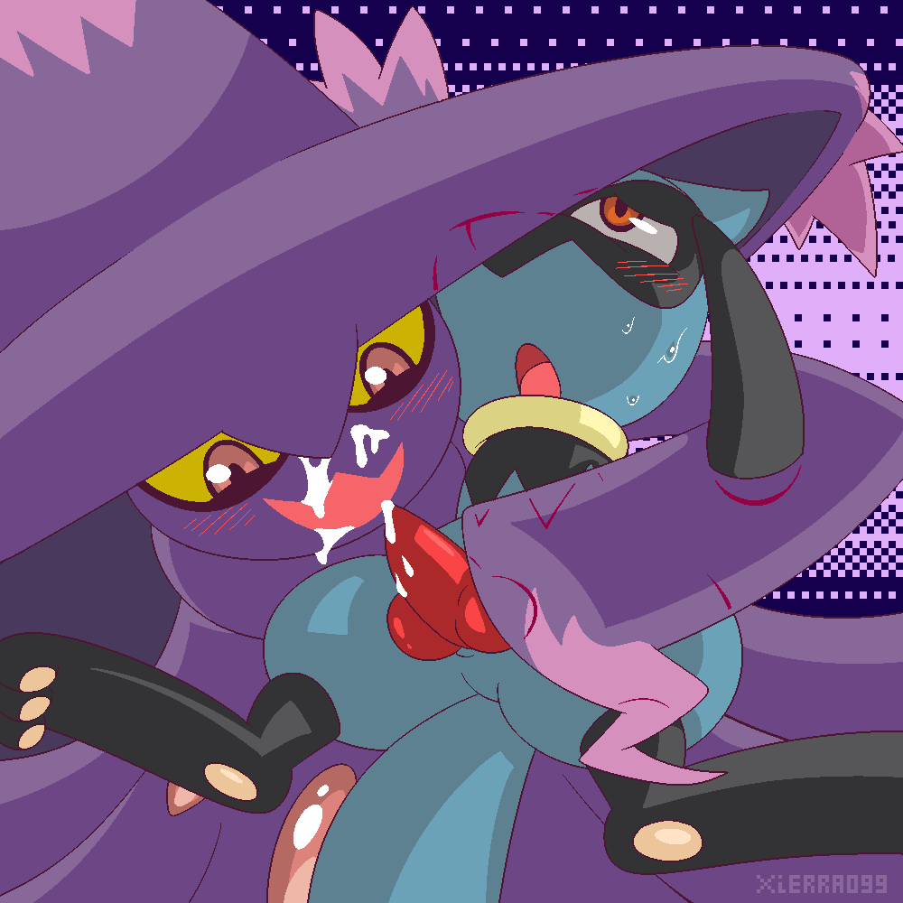 Xierra099 Riolu learns the Type Chart Pokemon - Image 7