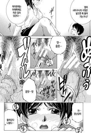 Yasuhara Tsukasa Boku no Hatsutaiken wa OO deshita ch.1 나의 첫경험은 OO였습니다 Korean팀 숙녀DigitalOngoing - Page 12