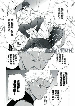 Yoke emya Seisya no Endororu FateGrand OrderChinese - Page 12