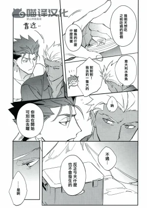 Yoke emya Seisya no Endororu FateGrand OrderChinese - Page 24