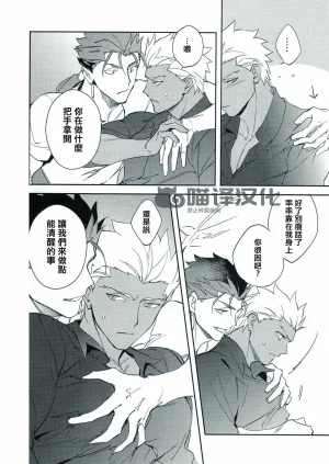 Yoke emya Seisya no Endororu FateGrand OrderChinese - Page 25