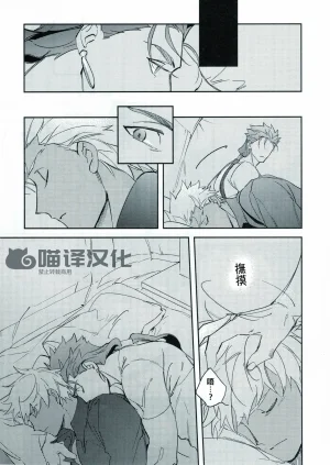 Yoke emya Seisya no Endororu FateGrand OrderChinese - Page 28