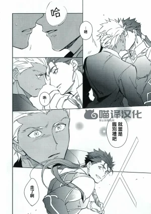 Yoke emya Seisya no Endororu FateGrand OrderChinese - Page 33