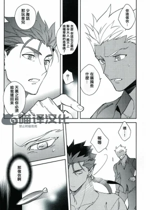 Yoke emya Seisya no Endororu FateGrand OrderChinese - Page 42