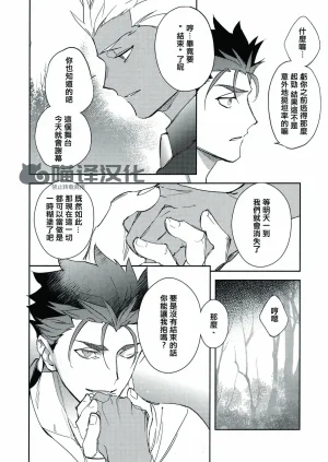 Yoke emya Seisya no Endororu FateGrand OrderChinese - Page 53