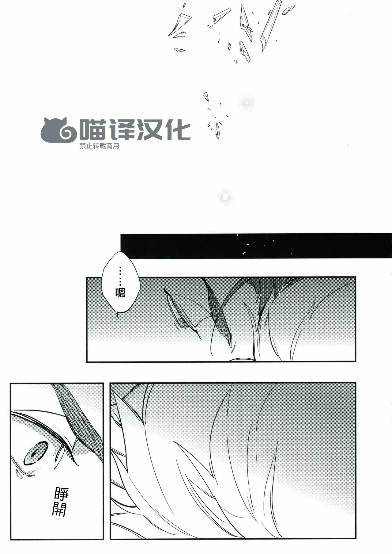 Yoke emya Seisya no Endororu FateGrand OrderChinese - Image 10