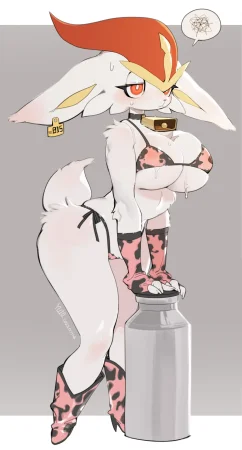YUIO CINDERACE LOPUNNY Pokemon - Page 3